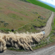 Illustration for article titled These Subaru Rally Photos Will Blow Your Mind